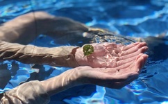 欧美亚洲性色影视在线